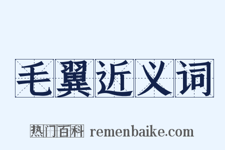 毛翼近义词是什么意思的图片